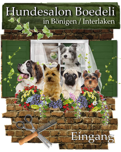 Hundesalon Boedeli - Eingang