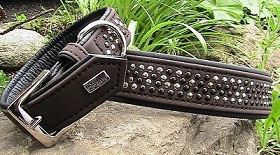 Halsband_Nieten_braun1