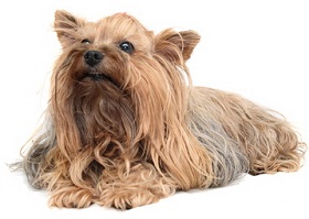 a_Fotolia_5138214_XS