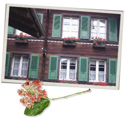 Kontakt - unser Haus